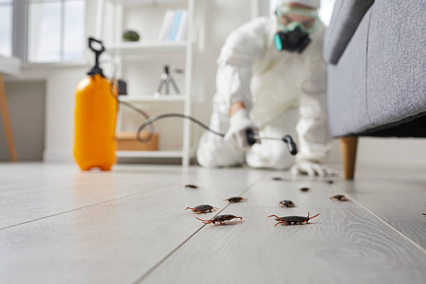 Commercial Kitchen Cockroach Control in Ada